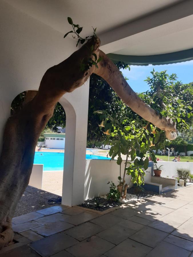 Apartamento Da Avo Te - Em Frente A Praia C Piscina ปอร์ติเมา ภายนอก รูปภาพ